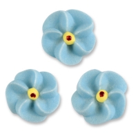 200 St. Vergissmeinnicht