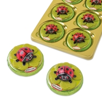 16 St. Schokokäfer auf Pralinentaler