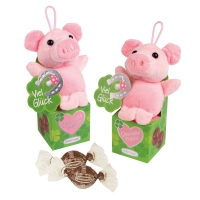 12 St. Plüsch-Glücksschwein auf Box