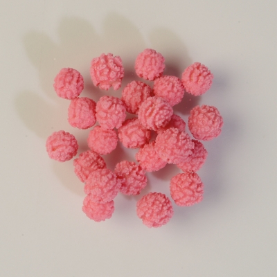 1 St. Mimosen rosa 1,0 kg 