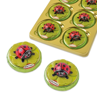 16 St. Schokokäfer auf Pralinentaler 